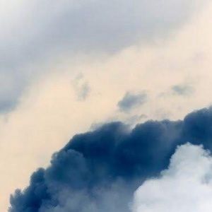 Meet your Posher, Arielle